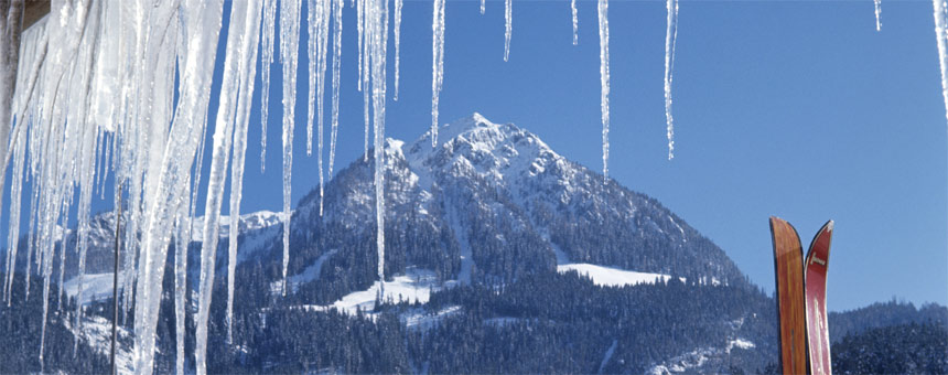 Jenner